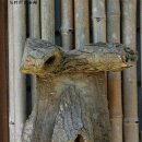 남,녀 화장실 이미지