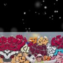 애다인