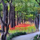 활천IC(부산)