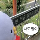 설빙호프