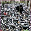 라이프스크린골프 이미지