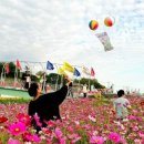 포구의 젓갈 축제 이미지