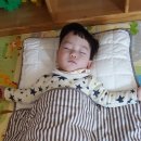 꿈꾸는천사들