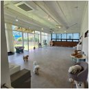 구름이 그린 달빛 | 파주 운정 애견유치원 애견카페 추천 체계가 아주 잘잡혀있어요