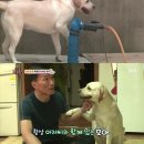 호야 농장 이미지