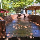 카페마차 이미지