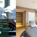 스위트초이스 - 성남시 분당구 돌마로366번길 42 | 스위트초이스