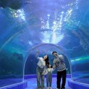 아쿠아플라넷 여수 이미지