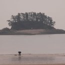 서해랑길(트레킹) 코스 이미지