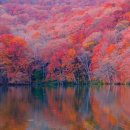 지금여기(now&here) | 인생(人生)이란 바로 '여기(here)'와 지금(now)'이다