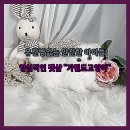 아담스펫 강아지분양 고양이분양 일산점 이미지