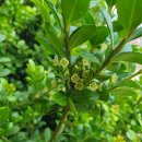 김해봉황초등학교 이미지