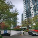 08-2 부동산 경매컨설팅 전문가과정 | 분당 이매촌삼성 46평 아파트 경매로 내집마련 하는 전략..