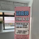 파충류카페 비비안 | [강릉/파충류카페]🐍이색적인 테마 '파충류카페 비비안' 솔직후기🐊