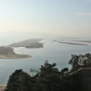 도요등(철새등) 티스토리