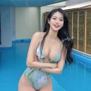 보배드림 이미지