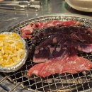 신부산갈매기 이미지