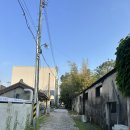 친절카인테리어 | [대전 소제동] 소제동 맛집 치앙마이방콕 내돈내산 후기(feat.싸와디카)