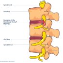 신갈한의원 이미지