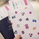 배타고 일본 퀸비틀호 뉴카멜리아호 가격 꿀팁 후기!