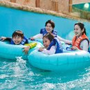 스플라스리솜 이미지