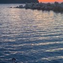 늘푸름펜션 이미지