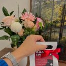 꽃방미용실 | 사랑하는 일을 하며 사는 카페 아아아라 사장의 요즘