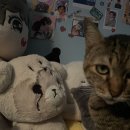 그루밍S 이미지