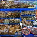 대신수산 이미지