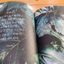 토프레소 분평점