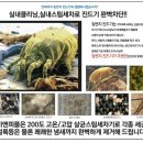 영크리닝 이미지