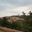 우도민박 네이버블로그
