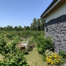 스테이3355 이미지