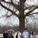 헬스코리아 이미지