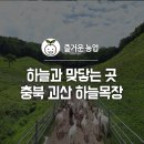 보천목장 Daum카페