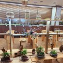 수출대로-36 | 구미사주 결혼운 잘 봐주는 곳 목화토금수