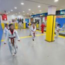 한국대룡태권도 이미지