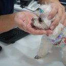 온동물병원 이미지