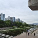 칠곡 | [대구 칠곡 맛집] 칠곡 뭉티기 맛집 백정 뭉티기 육회 후기