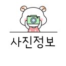 클로버공인중개사합동사무소 이미지