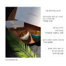 초이스스크린골프 | 골프 홀인원 기념선물 주문제작 커스텀 술잔 &lt;골드드림 24k 금잔&gt;