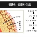 (주)브룸클래식코리아 이미지