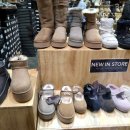 은척시장 | 호주 멜버른 한달살기 | 아이와 멜버른 시티 투어 1일차 (로열 보태닉 가든스, 사우스 멜버른 마켓, DFO...