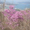 한려수도 조망케이블카 이미지