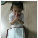 주일 대표기도,코로나19기도,코로나바이러스종식 기도,주일 대표기도문 이미지