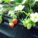 샘터어린이집 이미지