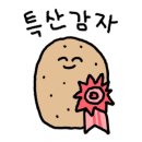 드코르티나 이미지