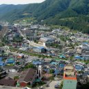 도계생선 이미지