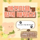 벤자민펫미용학원