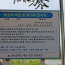 양양 포매리 백로와 왜가리 번식지 이미지